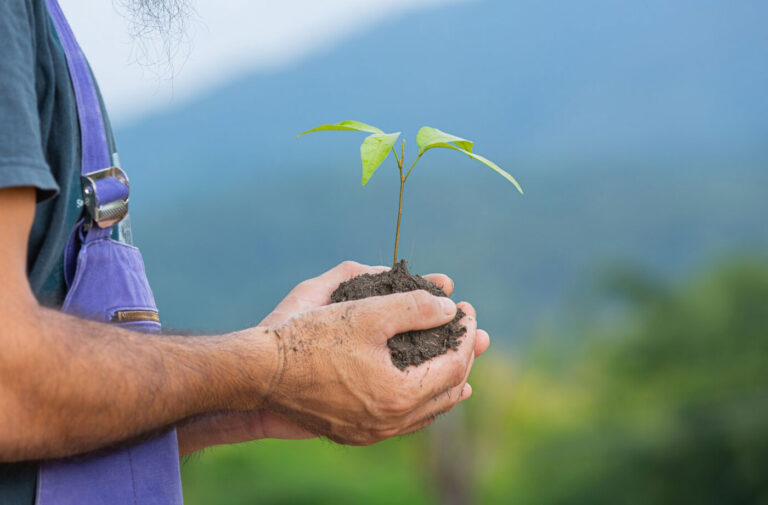 7 مرحله برای ایجاد یک استراتژی بازاریابی کامل در سال جاری