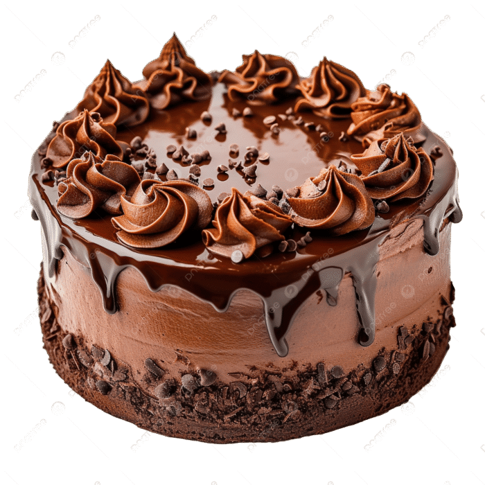 pngtree-delicious-chocolate-cake-png-image_14699096
